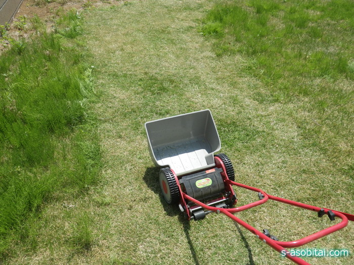 今年最初の芝刈り 手動芝刈り機で雑草もろとも芝を刈る もっと 自然の中で遊び隊